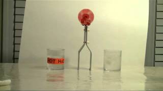 Thermoelectric PeltierSeebeck Effect Demonstration [upl. by Werda82]