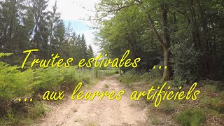 Truites estivales aux leurres artificiels [upl. by Yelsnik805]