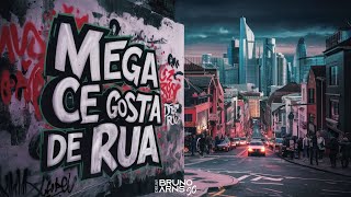 MEGA FUNK CE GOSTA DE RUA  DJ BRUNO ARNS SC [upl. by Sarat]