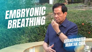 Embryonic breathing technique Qigong and breathwork practice with Taoist Master Mantak Chia ☯️ [upl. by Asim815]