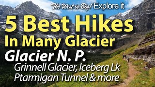 5 Best Hikes in Many Glacier In Glacier Nat Park Grinnell Glacier Iceberg Ptarmigan Tunnel More [upl. by Trisa762]