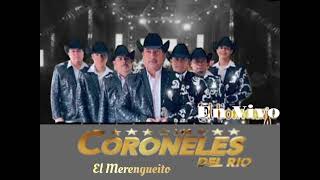 CORONELES DEL RIO En Vivo  El Merengueito  Cover [upl. by Bottali]