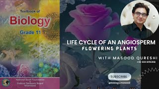 Life Cycle of an Angiosperm  Grade 11  biology  Urdu Hindi English  Federal Board Pakistan [upl. by Yrogiarc333]