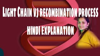 Light Chain of Antibody VJ RecombinationPART2in hindi [upl. by Rick366]