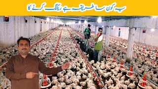 Control shed Broiler Chicken Day 23  broiler chicken poultry farming  Amin Hamid Dar [upl. by Juditha]