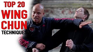 Top 20 wing Chun Techniques [upl. by Ahsotan]