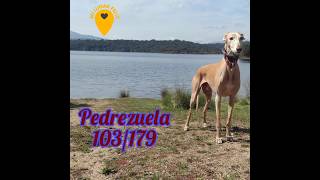 103179 Pedrezuela [upl. by Nesline869]