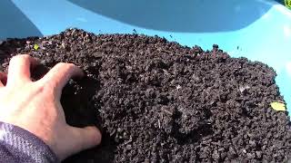 Turn any dirt into topsoil Biochar VLOG 6 2024 [upl. by Raymonds]