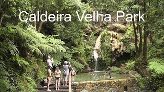 AZORES Caldeira Velha Park  São Miguel Island [upl. by Vernice]