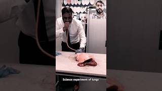 Human Lungs experiment in Science Lesson  shorts science teacher lungs [upl. by Derrek]