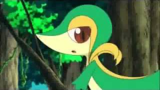 Snivy Sings ❤ Pokemon BW [upl. by Dnalhsa]