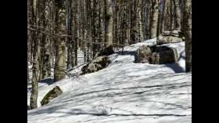 Ciaspolata al Rifugio di Colle Mozzone [upl. by Relly680]