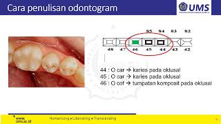 Skills Lab 3 odontogram [upl. by Ode]