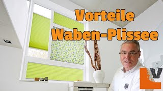 Plissee oder Rollo Kälte und Hitzeschutz mit Wabenplissees [upl. by Aehcsrop]