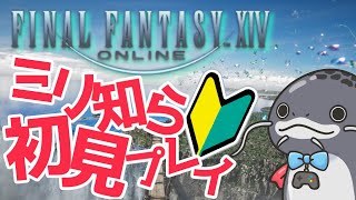 【FF14GaiaIfrit】FFミリ知ら初見プレイ11【雑談FinalFantasyXIV】 [upl. by Aiyram]