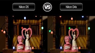 Nikon D5 vs Nikon D4S Video Test [upl. by Larret]