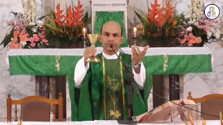 Catholic Mass Today Tuesday 18 January 2022 [upl. by Anilad]