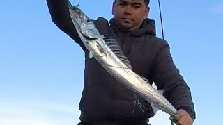 Hawkes Bay Surfcasting [upl. by Khano]