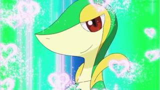 quotNo moneyquot Snivy AMV Requested by Nick Puth [upl. by Amal]