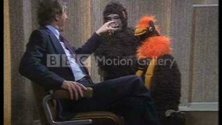 oliver reed in a gorilla suit [upl. by Oigres70]