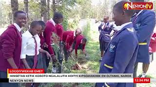 OLTANKI PRIMARY AND SEC BENEFITS FROM TREE SEEDLINGS FROM NGO KNOWN AS GOOD SAMARITAN [upl. by Essie]