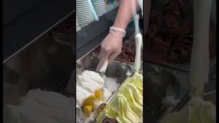 Gelato ice cream 🍨 gelato icecream dessert youtubeshorts [upl. by Yahsal]