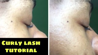 How to straighten naturally curly lashes  strip lash tutorial  Shanda 360 ♥️ [upl. by Yragerg]