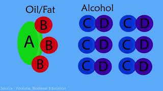 Analysis of Diesel Oil as Biodiesel Fuel with Transesterification Process [upl. by Lyudmila284]