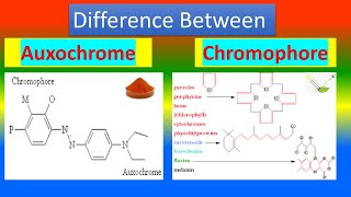 Difference between Auxochrome and Chromophore [upl. by Reinertson]