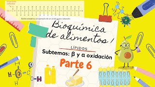 Lípidos parte 6 BetaoxidaciónAlfaoxidación Peroxisoma Degradación de ácidos grasosA Fitánico [upl. by Arrehs268]