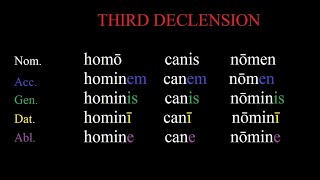 The Third Declension in Latin Made Simple  Easy Latin Grammar Lessons [upl. by Ativla]