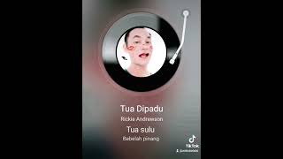 TUA DIPADU RICKIE ANDREWSON VOKAL ADAM M [upl. by Ieppet]