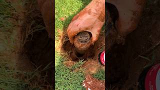 Replace Sprinkler Head in 5 Mins  Easy DIY Fix [upl. by Eirol]