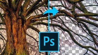 4 formas de QUITAR FONDO con Photoshop ¡ZONAS IMPOSIBLES [upl. by Sihon436]