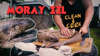 MASSIVE MORAY EEL  How to Clean and Cook  Spearfishing Hawaii [upl. by Marlon334]