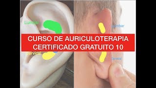 Curso Auriculoterapia gratuito 10 dolor lumbar cervical hernia [upl. by Palma616]