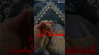 Sakandar Ali 9115 islamicvideo [upl. by Serg]