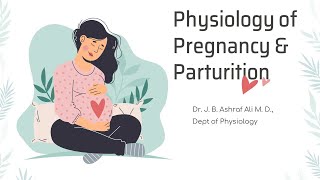 Physiology of Pregnancy by Dr JB Ashraf Ali MD [upl. by Iras]