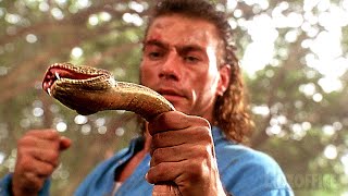 JCVD met KO un serpent en un round  Chasse à lhomme  Extrait VF 🔥 4K [upl. by Anileve]