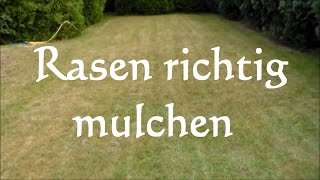 Anleitung Rasen mulchen  Vorteile und Nachteile beim Rasenmulchen  Rasen düngen [upl. by Ohce]