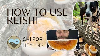 How To Use Reishi Mushrooms After Harvesting [upl. by Ilrebmik]