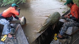 Amigos de la pesca capitulo 2  La pesca de los parientes de pesca [upl. by Iznekcam]