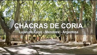 Calles y Ciclovías de Chacras de Coria  Luján de Cuyo  Mendoza  Argentina [upl. by Stockmon]