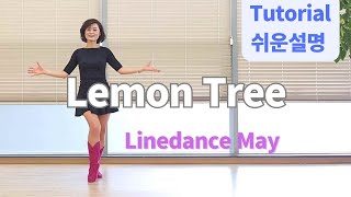 Lemon Tree Line Dance Beginner  SEA of love  Tutorial [upl. by Nyloj31]