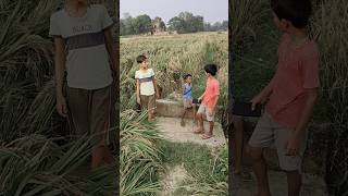 বন্ধুদেরকে বিশ্বাসbandar ke BiswasMALLIK TVHansi VIDEO [upl. by Notirb]