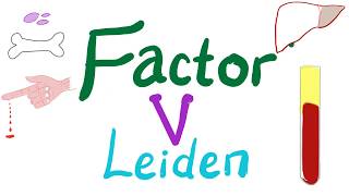 Factor V Leiden  Hypercoagulability  Bleeding and Coagulation Disorders  Hematology [upl. by Haila576]