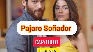 PajaroSoñadorCap1Erkenci Resumen pájarosoñadorcapitulo pájarosoñadorseries erkencikus [upl. by O'Meara]