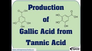 Production of Gallic Acid from Tannic Acid [upl. by Marelya630]