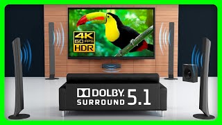 The BEST Dolby 51 Surround Sound Demo Nature Sounds 🍃 [upl. by Buford]