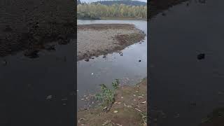 Clackamas River Dahl beach [upl. by Gertruda]